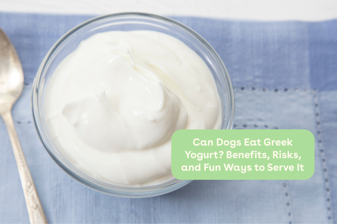 Can Dogs Eat Greek Yogurt? Benefits, Risks, and Fun Ways to Serve It | Pupford