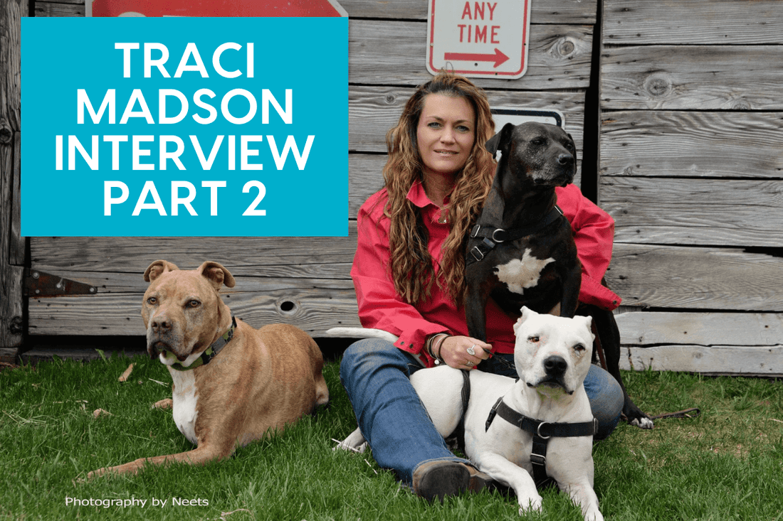 Traci Madson Interview (Part 2): Seeing the Negatives Results of Aversives & Training Dogs with Cooperation | Pupford