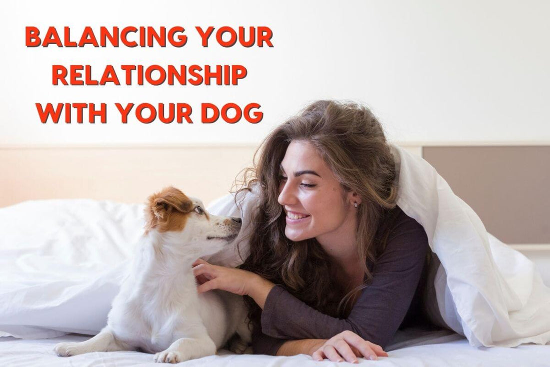 Balancing Your Relationship with Your Dog | Pupford
