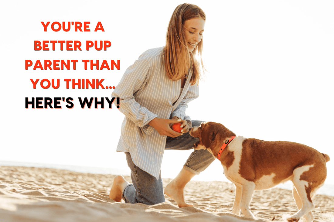 You're a Better Pup Parent Than You Think - Here's Why | Pupford