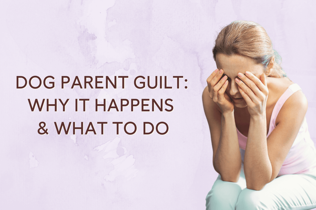 Dog Mom (& Dad) Guilt: Why It Happens & What To Do | Pupford
