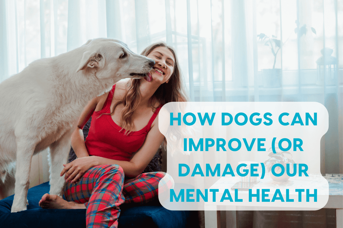 How Dogs Can Improve (or Damage) Our Mental Health: Interview with Chrissy Lawler Licensed Therapist | Pupford