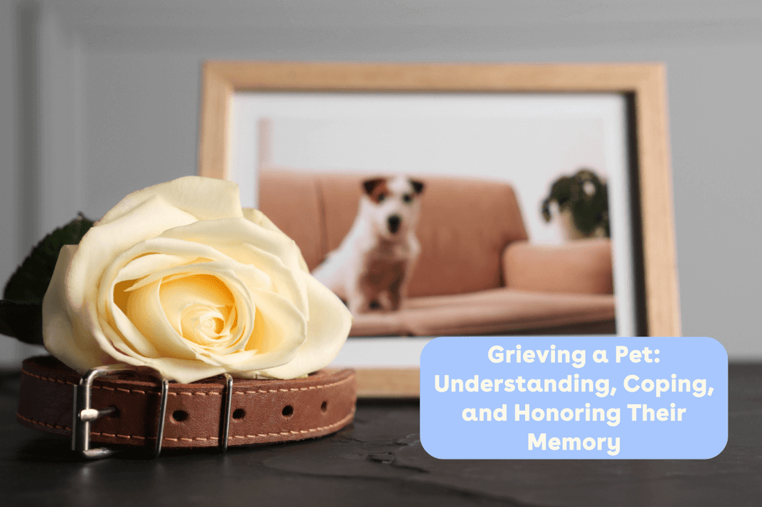 Grieving a Pet: Understanding, Coping, and Honoring Their Memory | Pupford