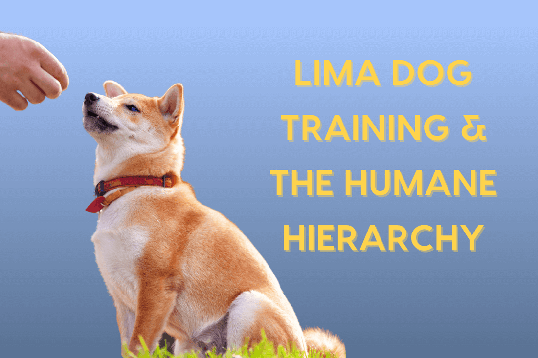 Humane Hierarchy & LIMA Training, Explained with Examples | Pupford