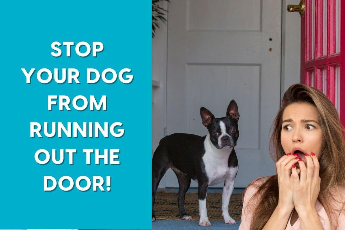 How to STOP a Dog From Running Out the Front Door | Pupford