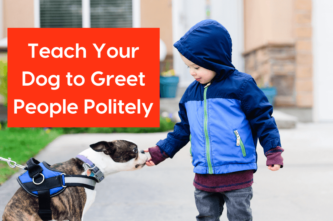 Teach Your Dog to Greet Guests Politely | Pupford