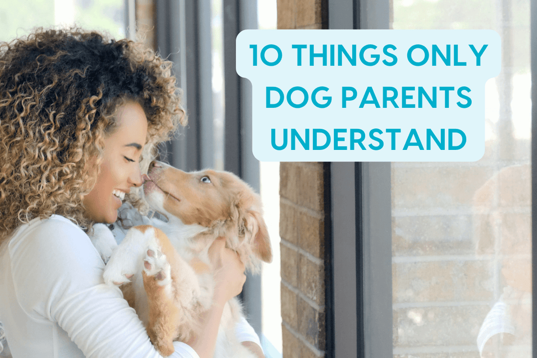 10 Things Only Dog Parents Understand | Pupford