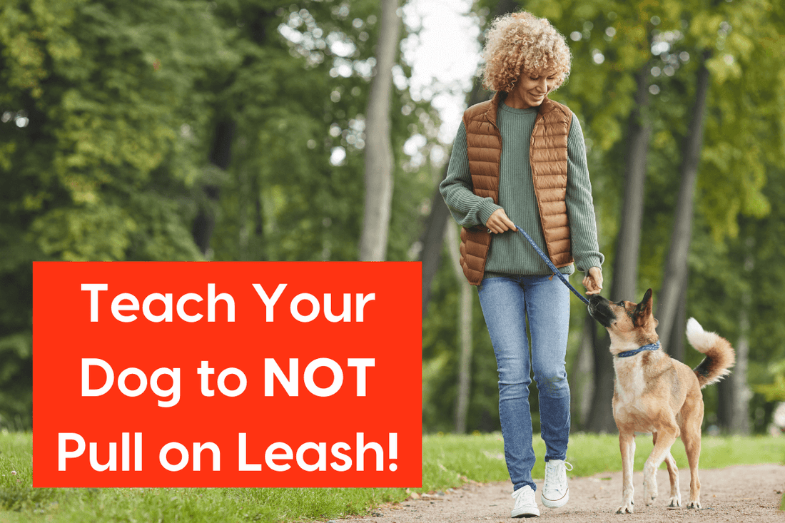Training Your Dog to Walk Better on Leash with Erika Gonzalez | Pupford