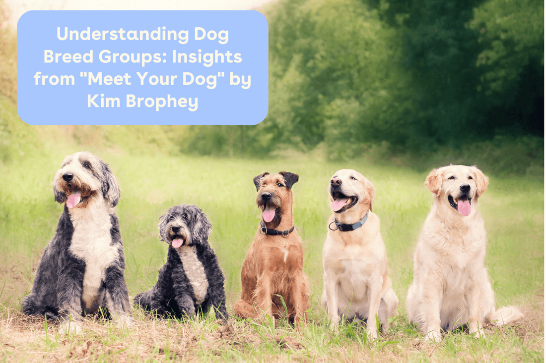 Understanding Dog Breed Groups: Insights from "Meet Your Dog" by Kim Brophey | Pupford