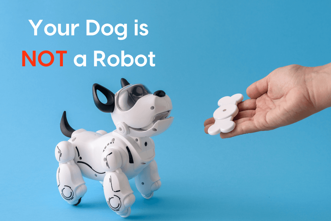 Your Dog Is NOT a Robot | Pupford
