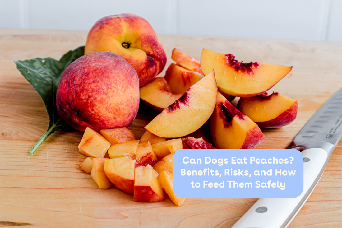 Can Dogs Eat Peaches? Benefits, Risks, and How to Feed Them Safely | Pupford