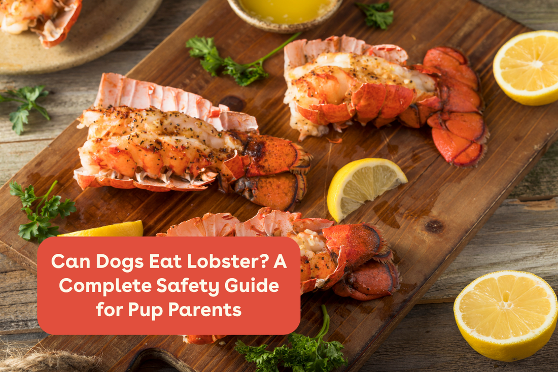 Can Dogs Eat Lobster? A Complete Safety Guide for Pup Parents | Pupford