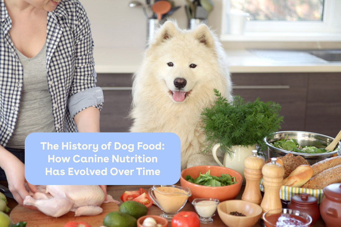 The History of Dog Food: How Canine Nutrition Has Evolved Over Time | Pupford