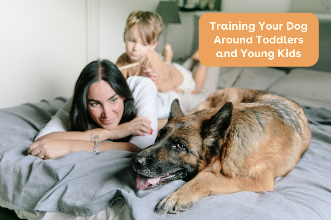 Training Your Dog Around Toddlers and Young Kids | Pupford