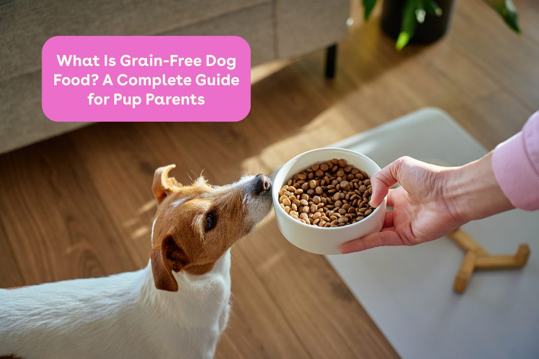 What Is Grain-Free Dog Food? A Complete Guide for Pup Parents | Pupford