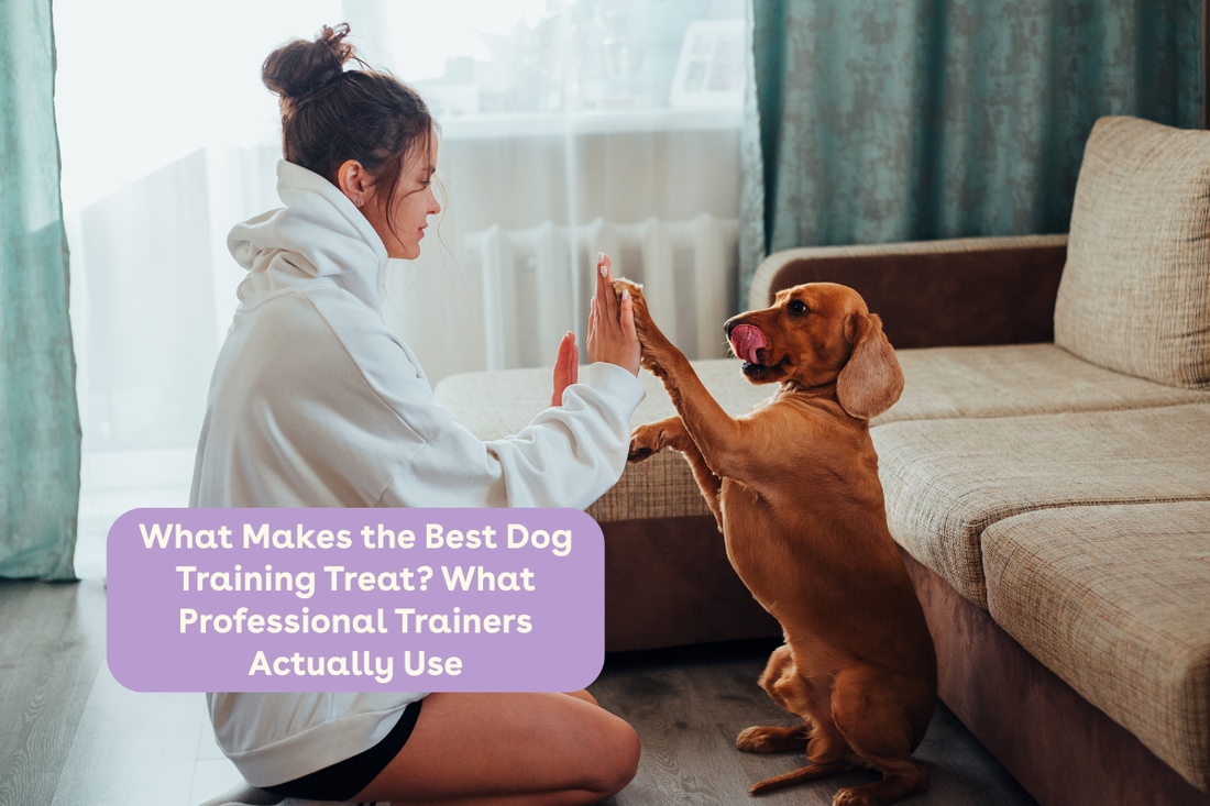 What Makes the Best Dog Training Treat? What Professional Trainers Actually Use | Pupford