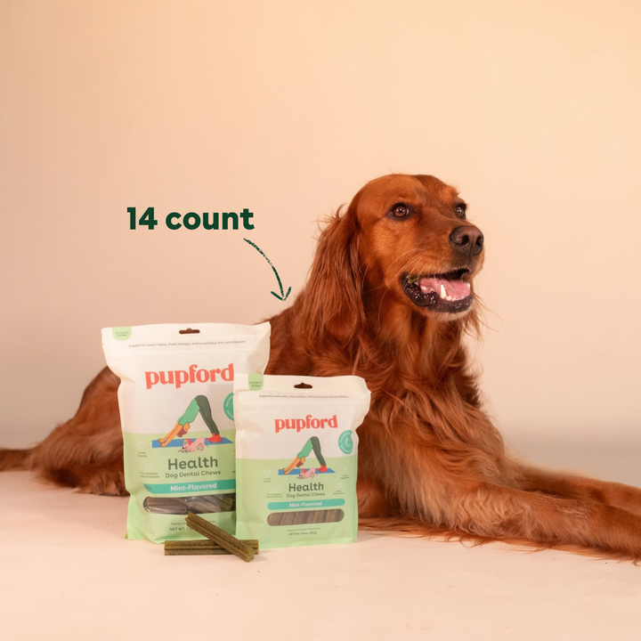 Dental Chews - product image 1