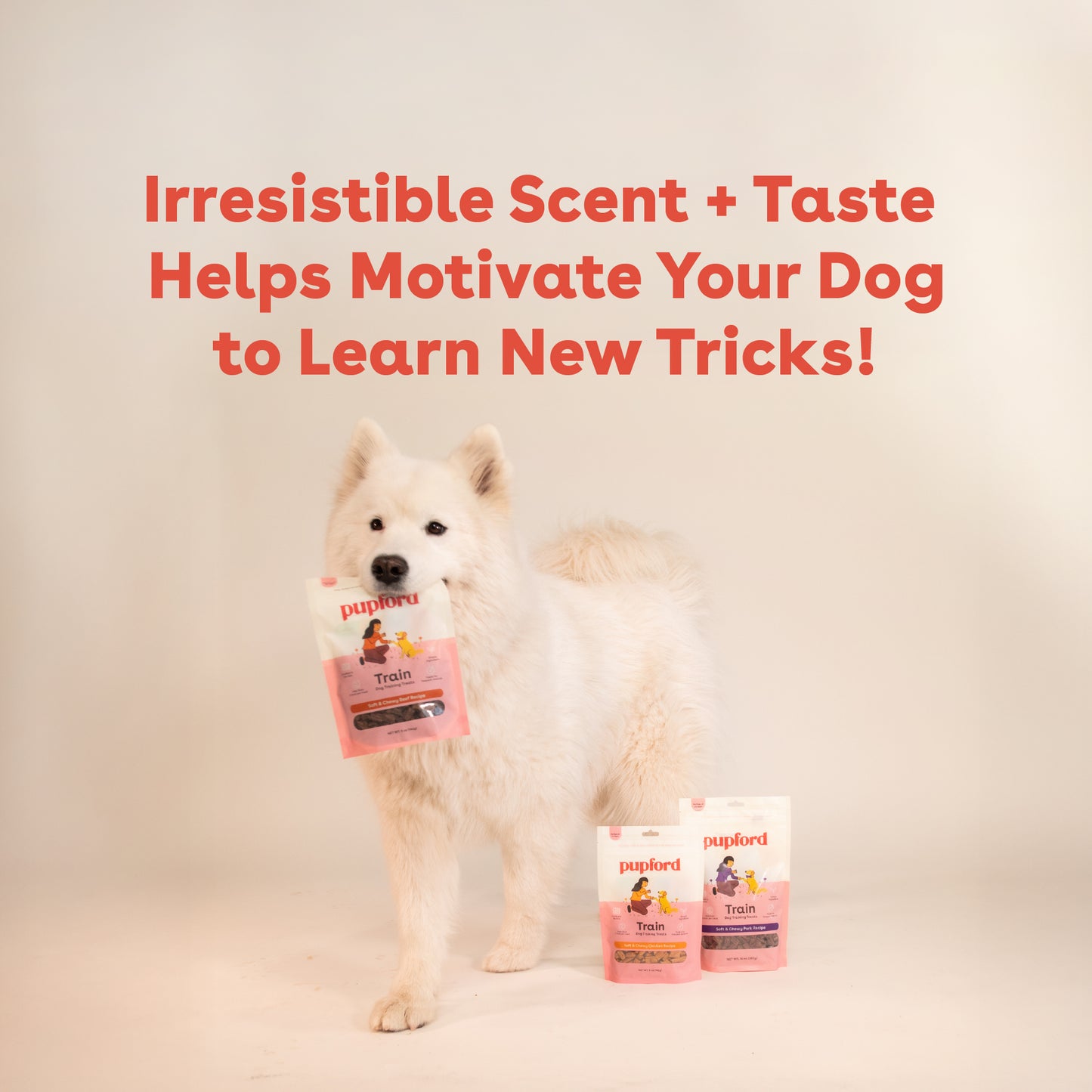 Soft & Chewy Beef Training Treats