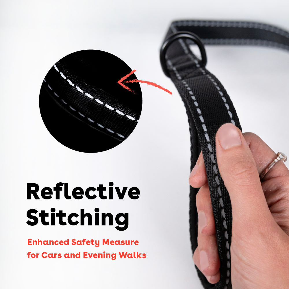 6 foot double handle leash with reflective stitching for safety | Pupford