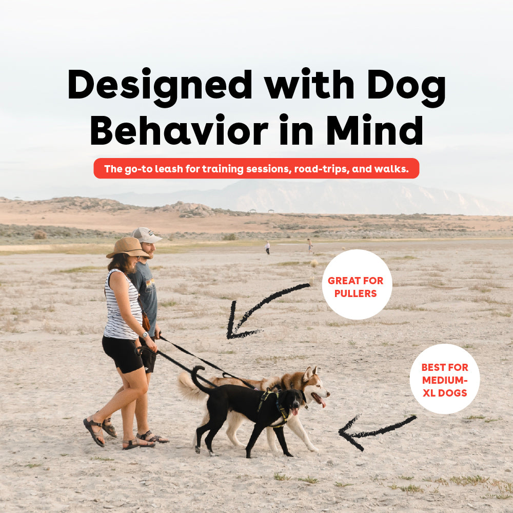 6 foot leash for bigger dogs that works well for dogs that pull | Pupford