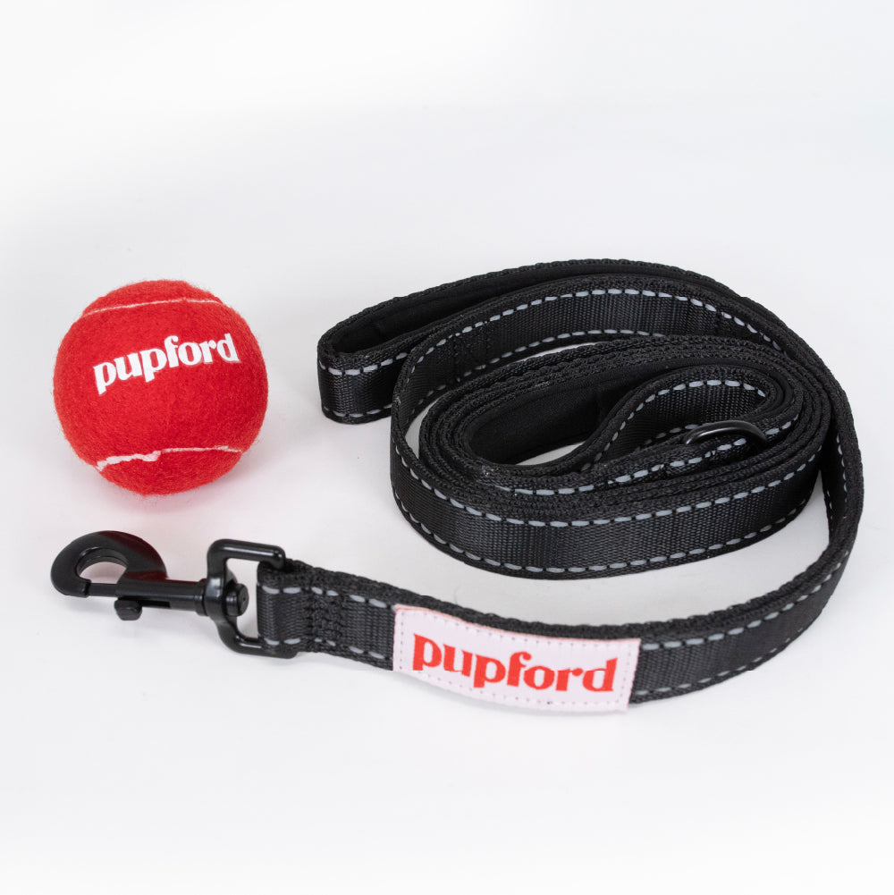 6 foot leash with two handles next to a tennis ball | Pupford