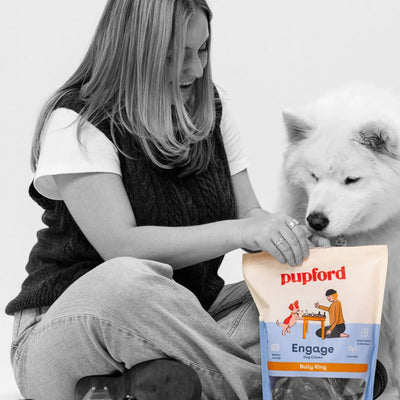 Pupford Favorite Pack - Descripción