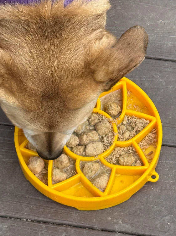Sunny Bites Tray - Enrichment Slow Feeder