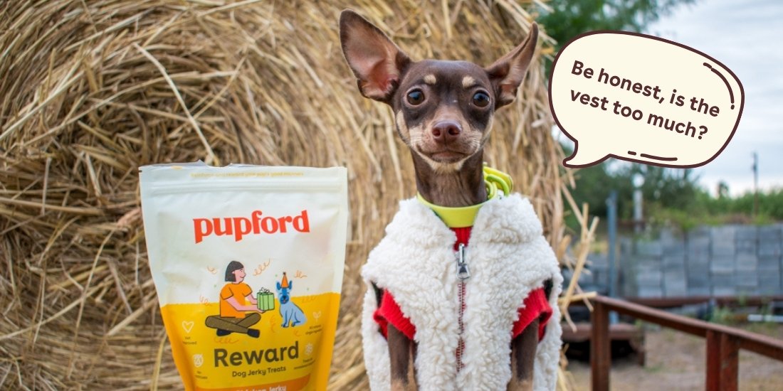 Main: Jerky Treats Hero Image
