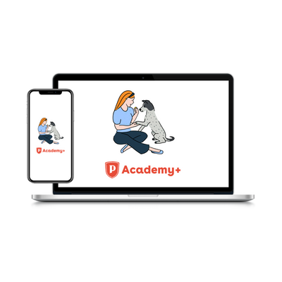 Pupford Academy+ Lifetime - Descripción