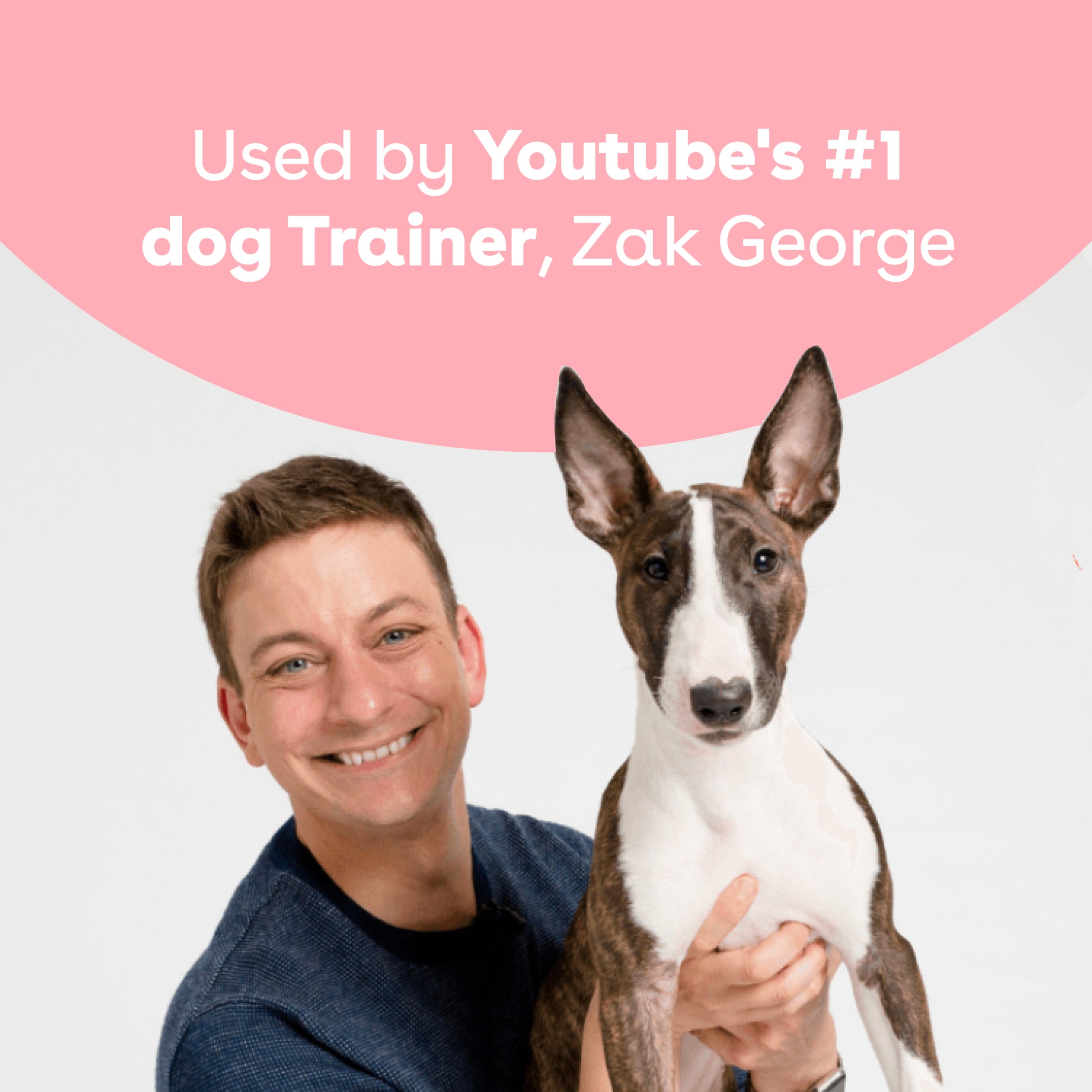 Freeze Dried Blueberry Training Treats