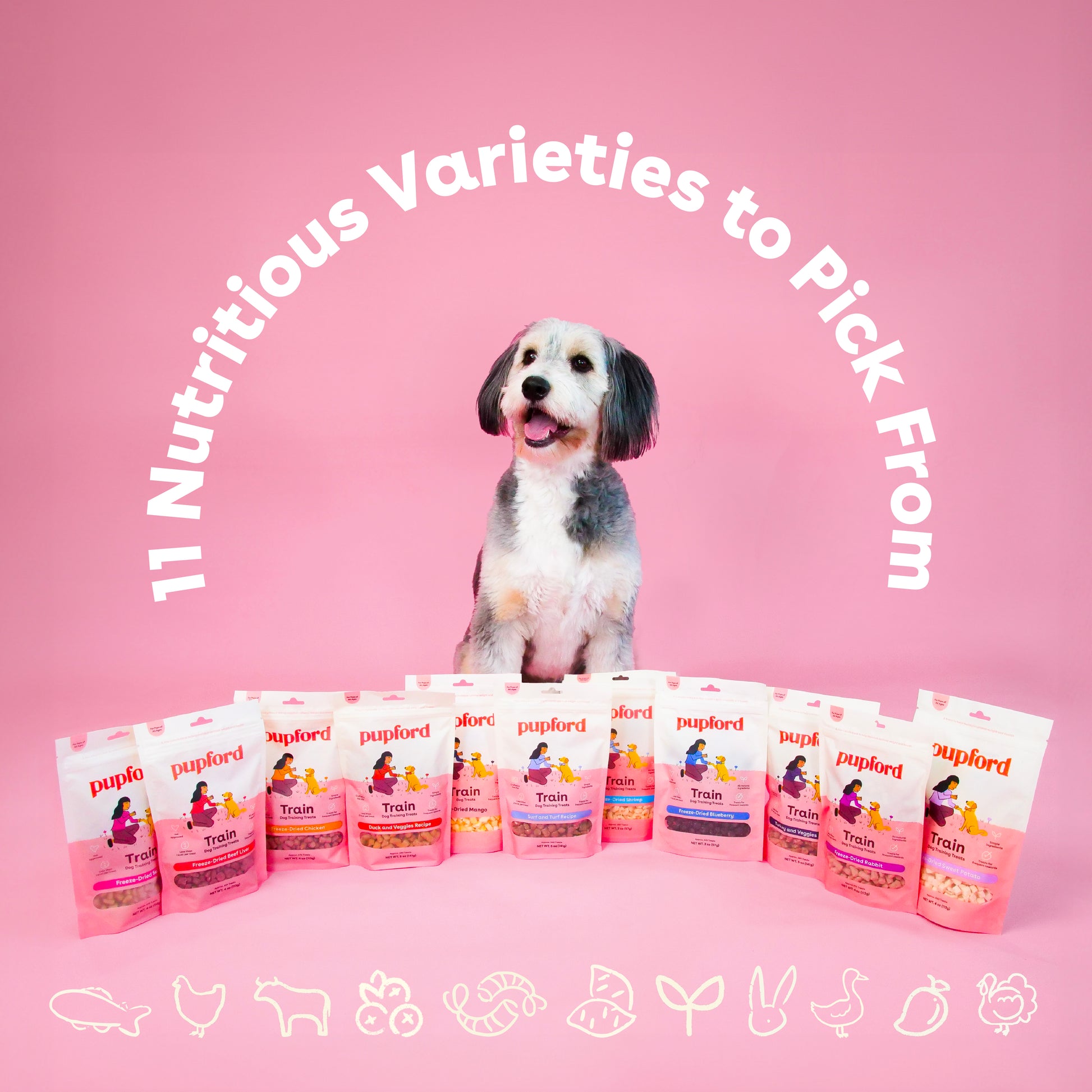 Freeze Dried Mango Training Treats