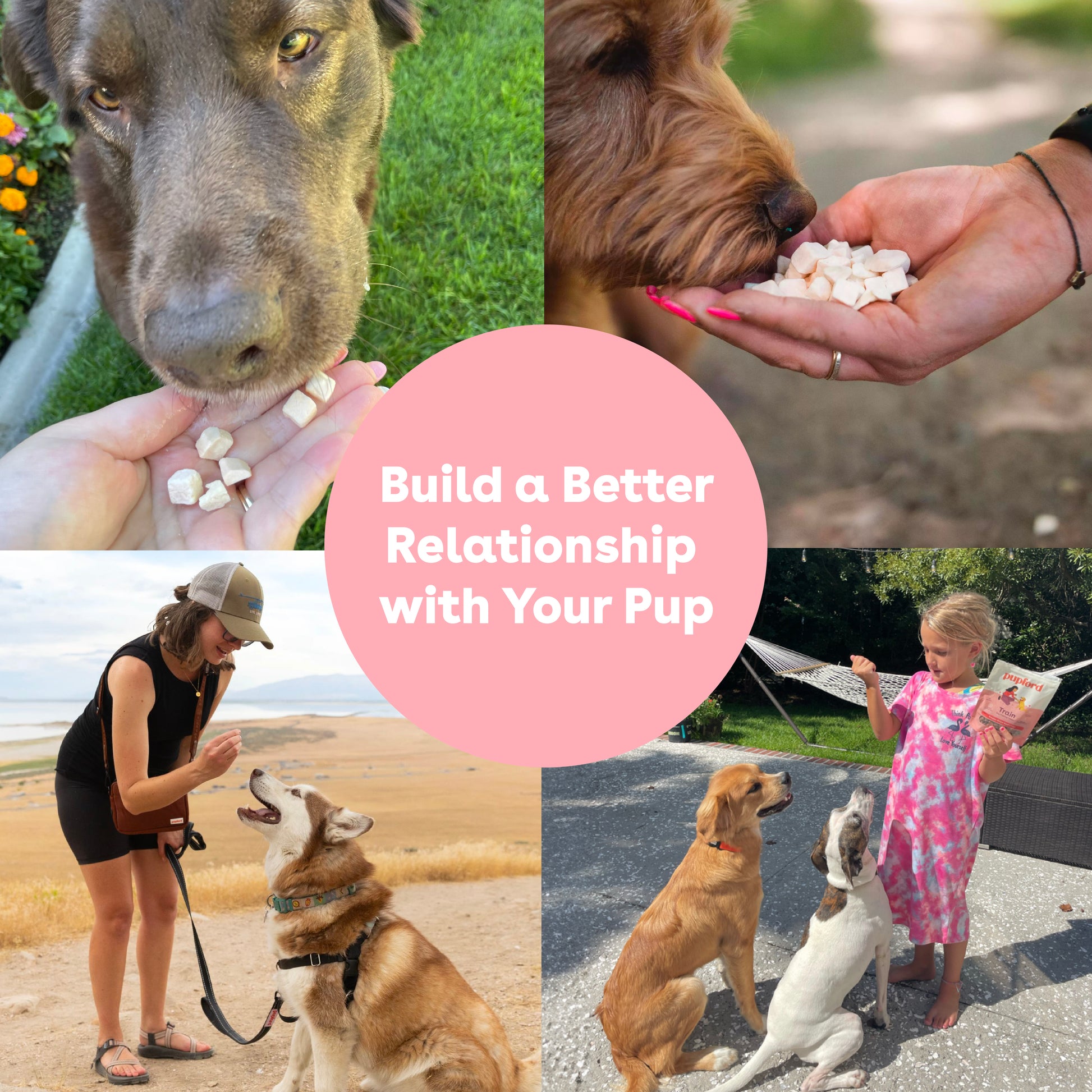 Freeze Dried Sweet Potato Training Treats