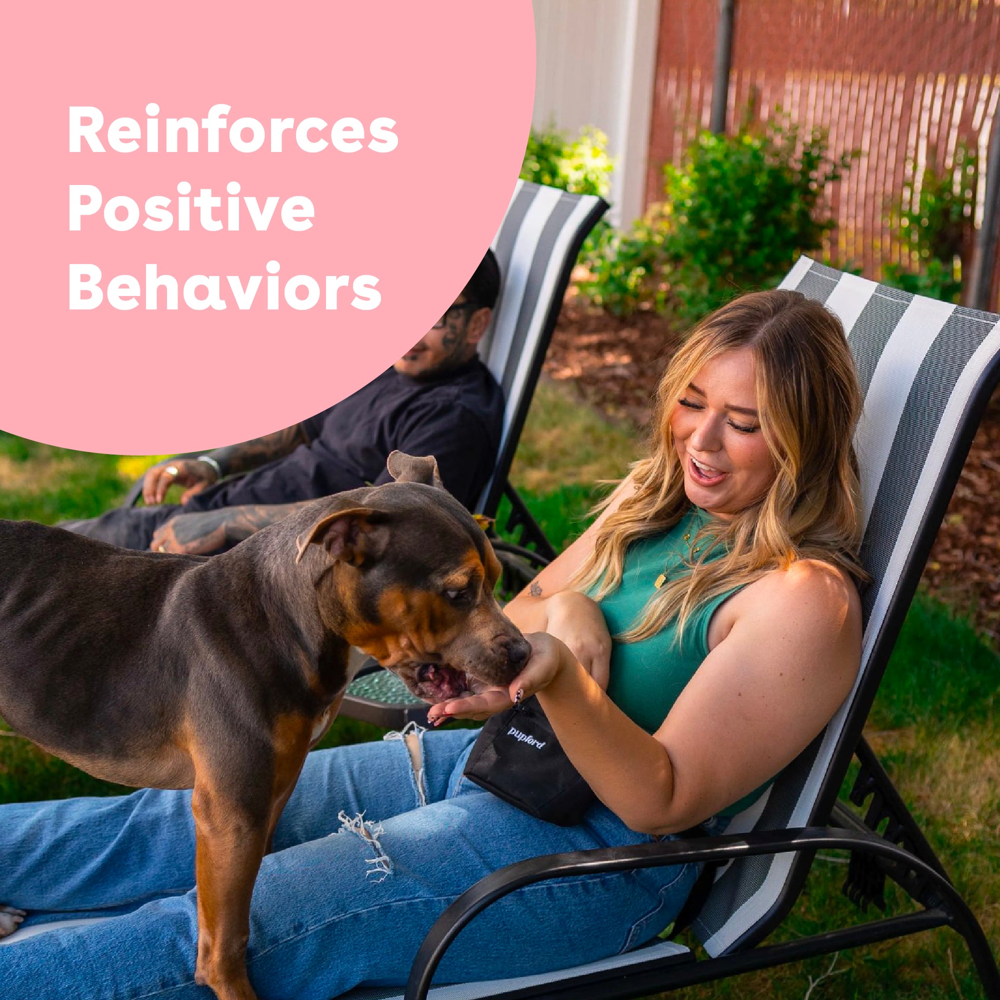 Freeze Dried Salmon Training Treats