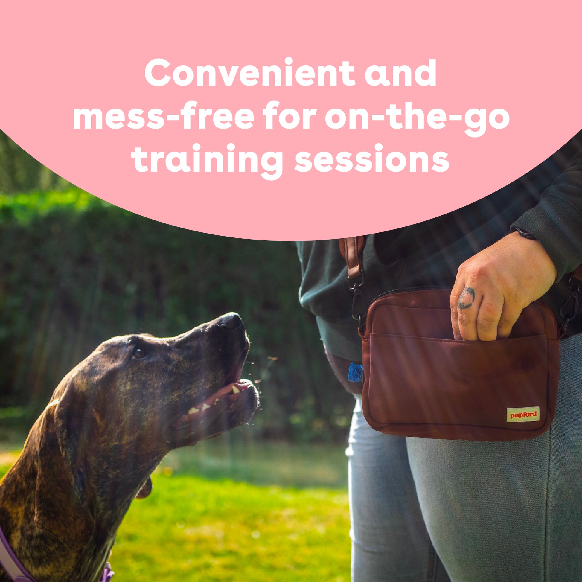 Freeze Dried Salmon Training Treats