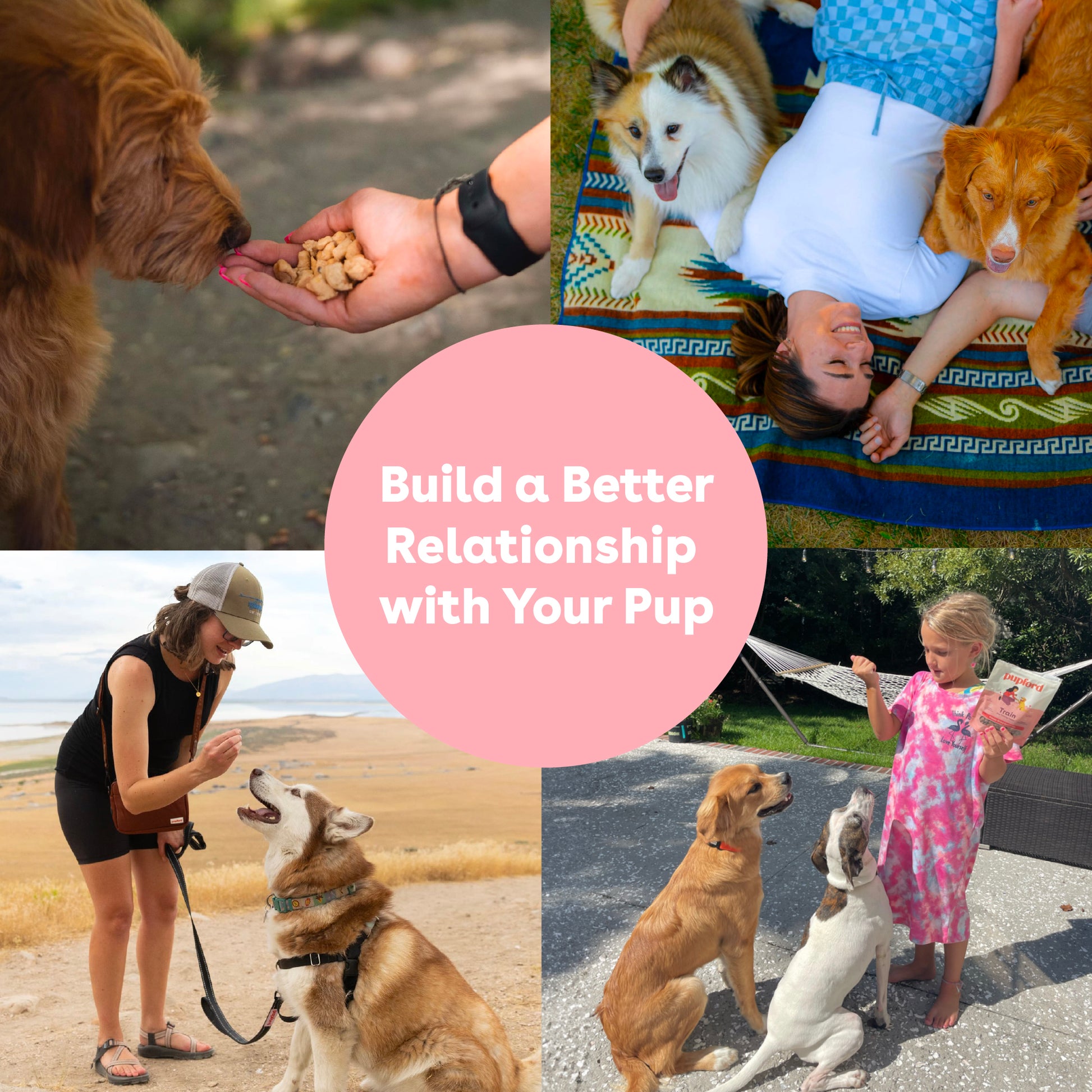 Freeze Dried Salmon Training Treats