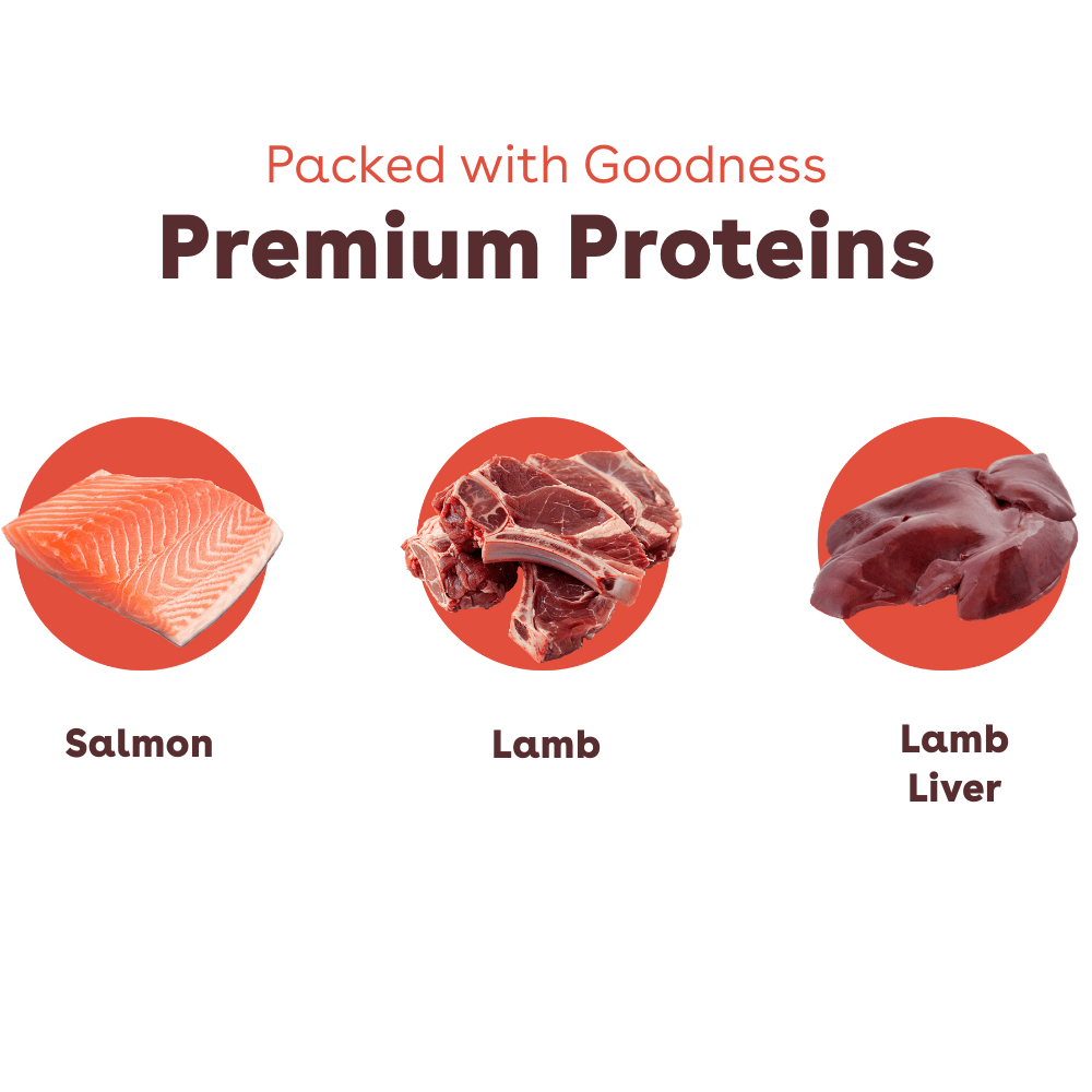 Freeze-Dried Raw Good Dog Food - Salmon & Lamb Recipe Nutritional Facts Image