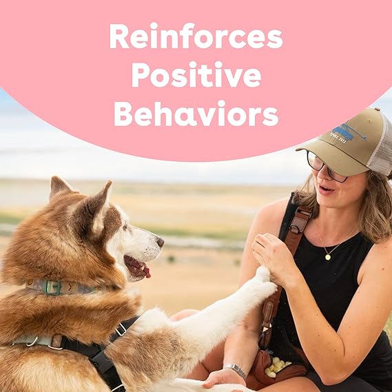 Freeze Dried Training Treats