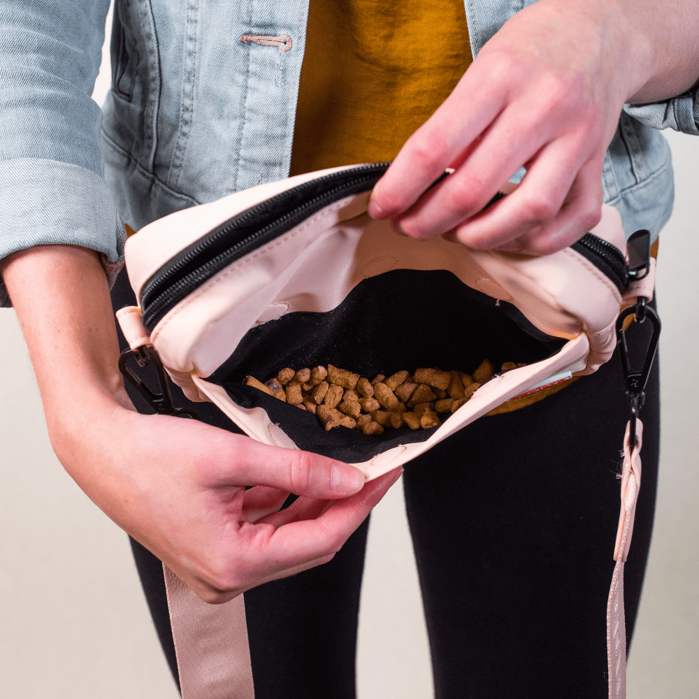 How to Use a Dog Training Treat Pouch