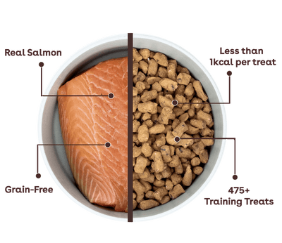 Freeze Dried Salmon Training Treats - Descripción