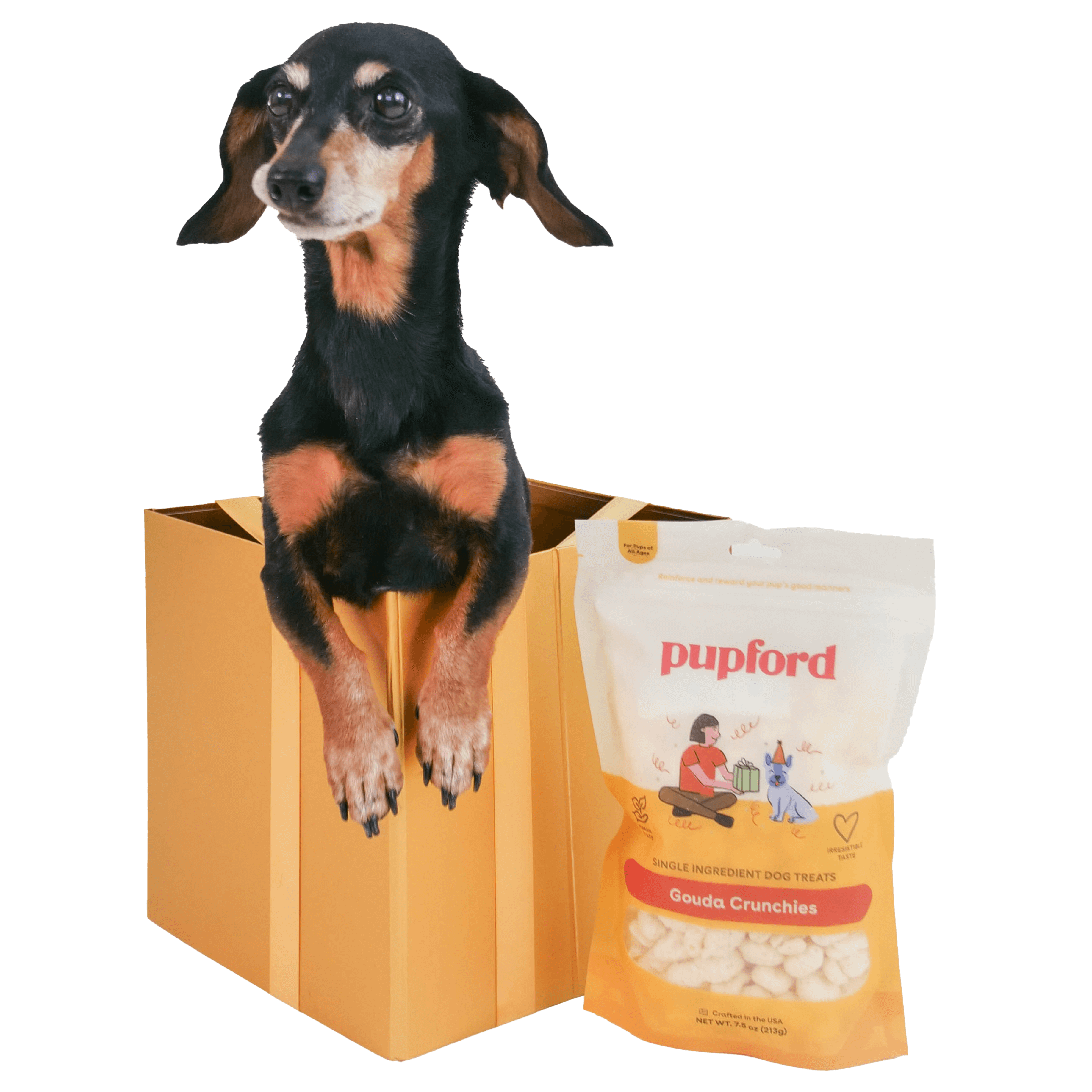 Product Treats Image