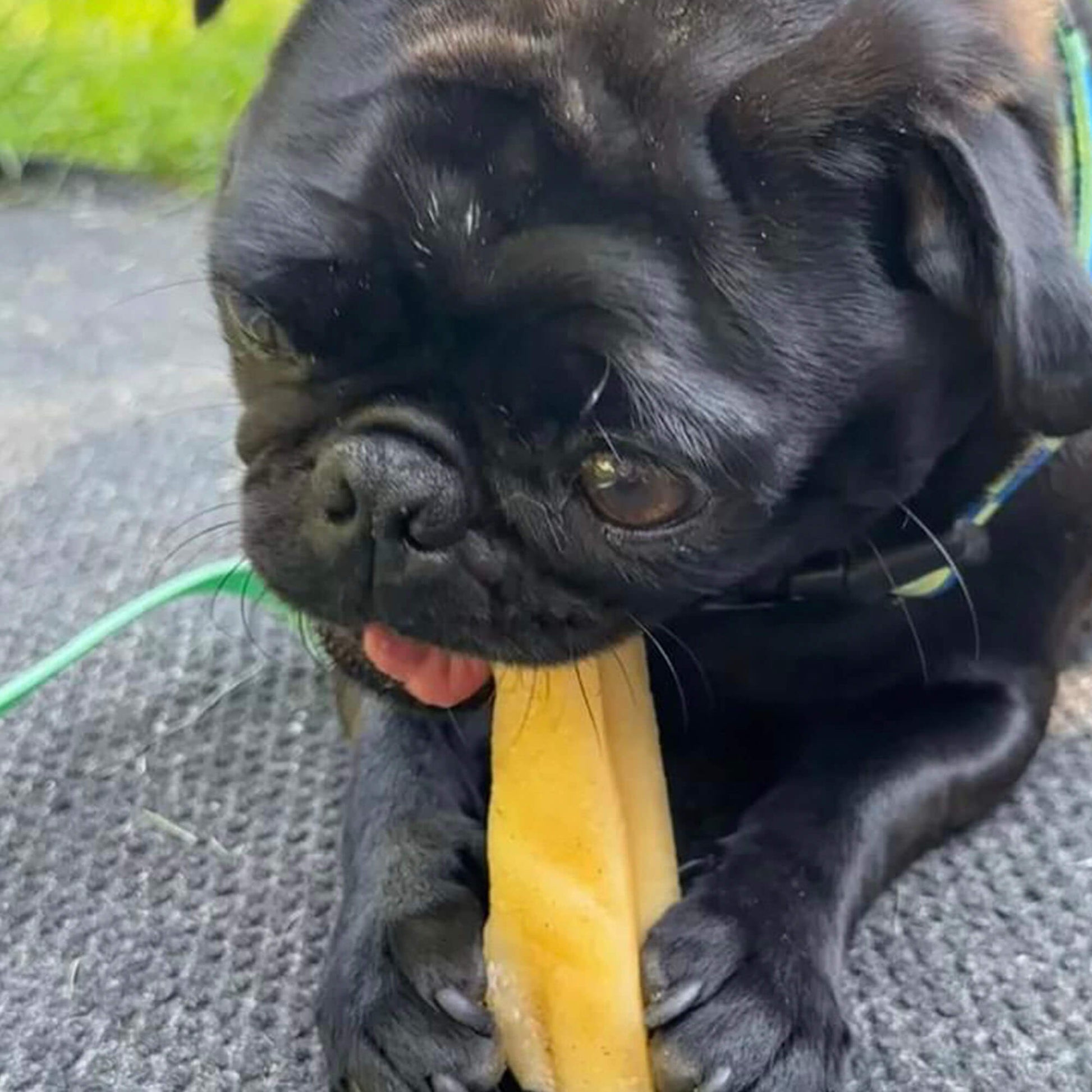 YakCheese-Jumbo3packArtboard 5