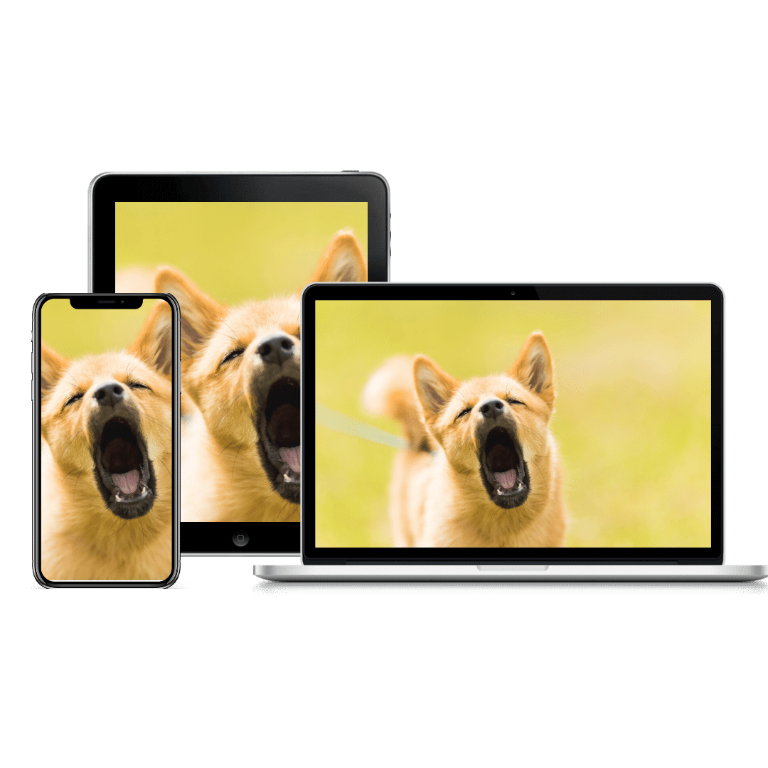 Barking solutions.