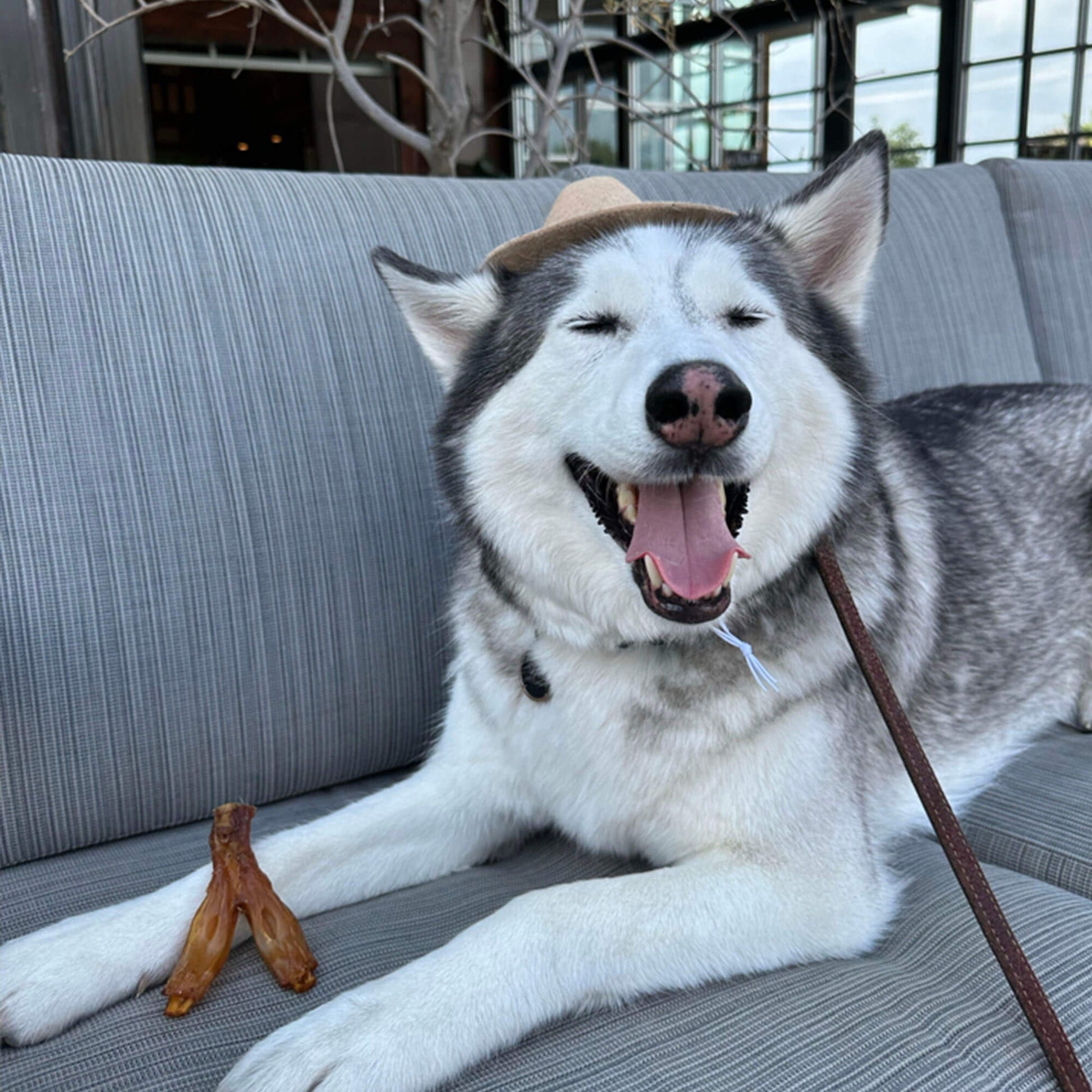 TurboTendon-5packArtboard 4