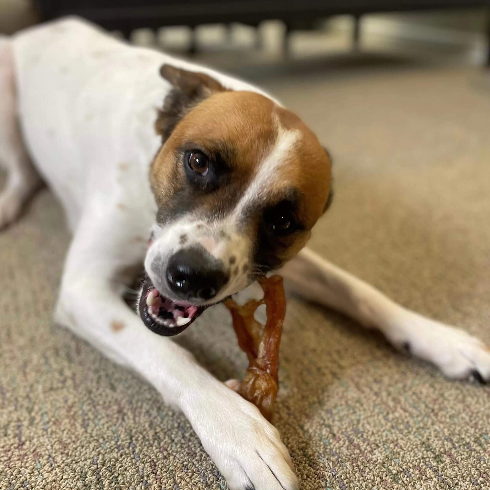 TurboTendon-5packArtboard 6