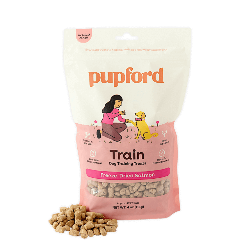 freeze dried Salmon Training Treats | Pupford