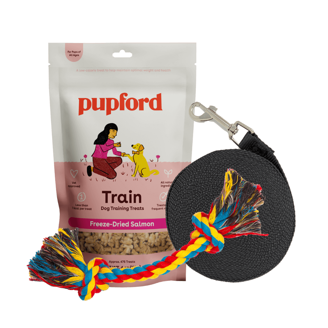 Training Starter Pack with salmon treat small lead