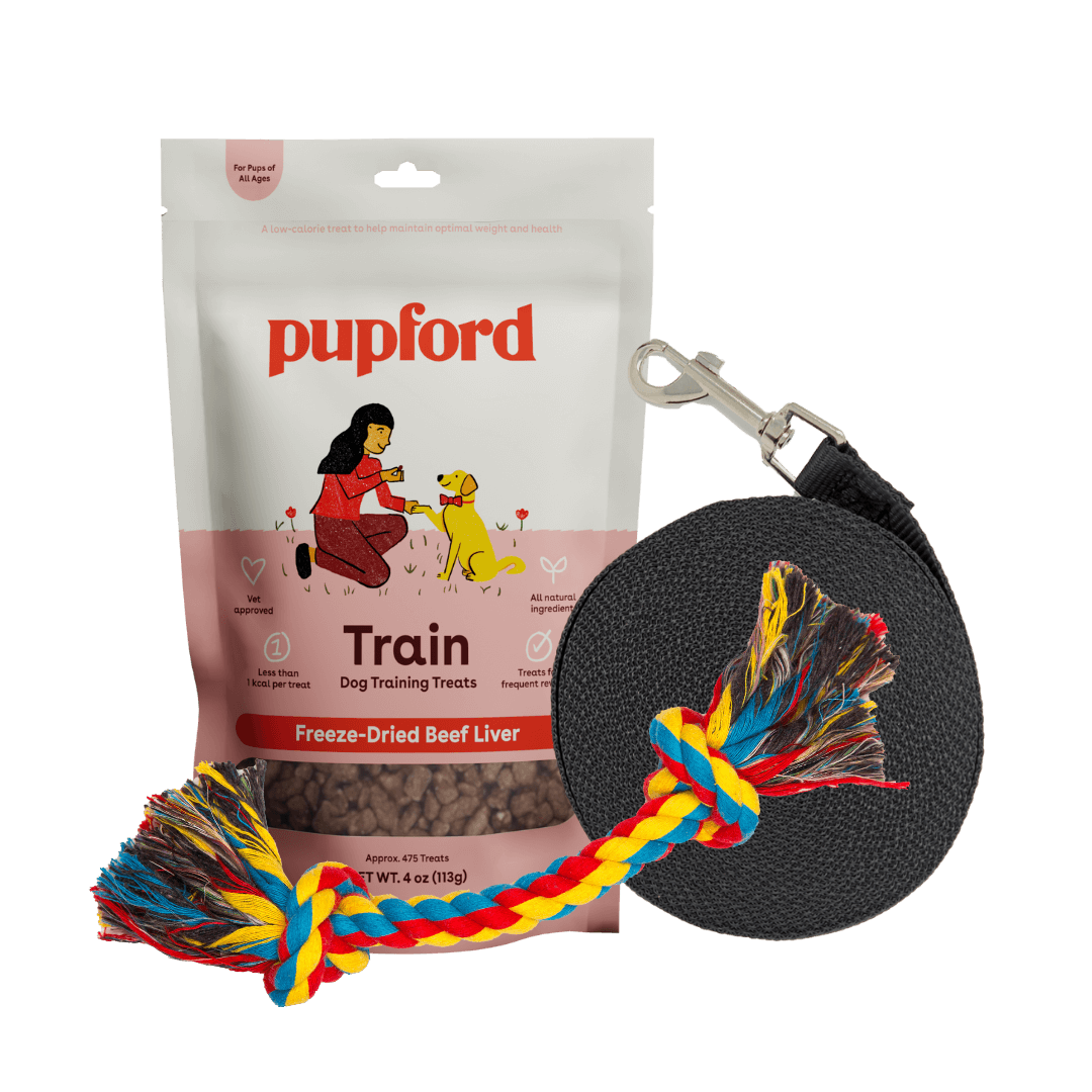 Training Starter Pack with beef liver treat small lead