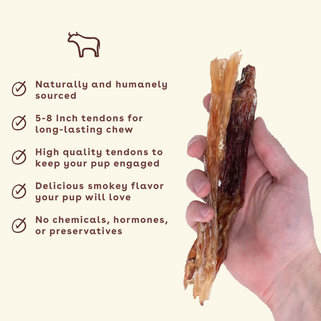 New_Beef-Tendon-chew-in-hand-with-benefits-amazon-(1) | Pupford