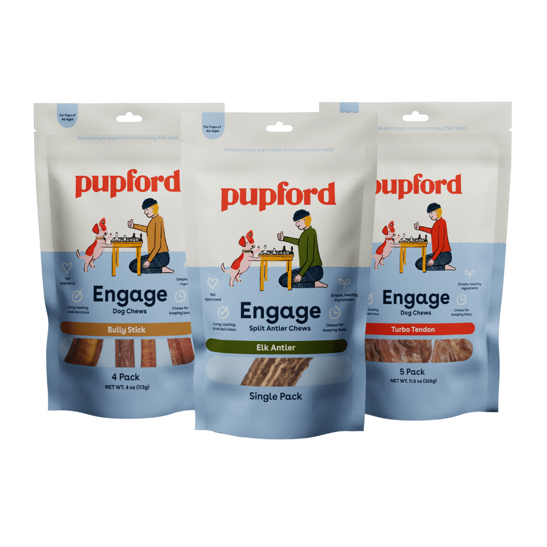 Large Dog Chew Favorites Pack