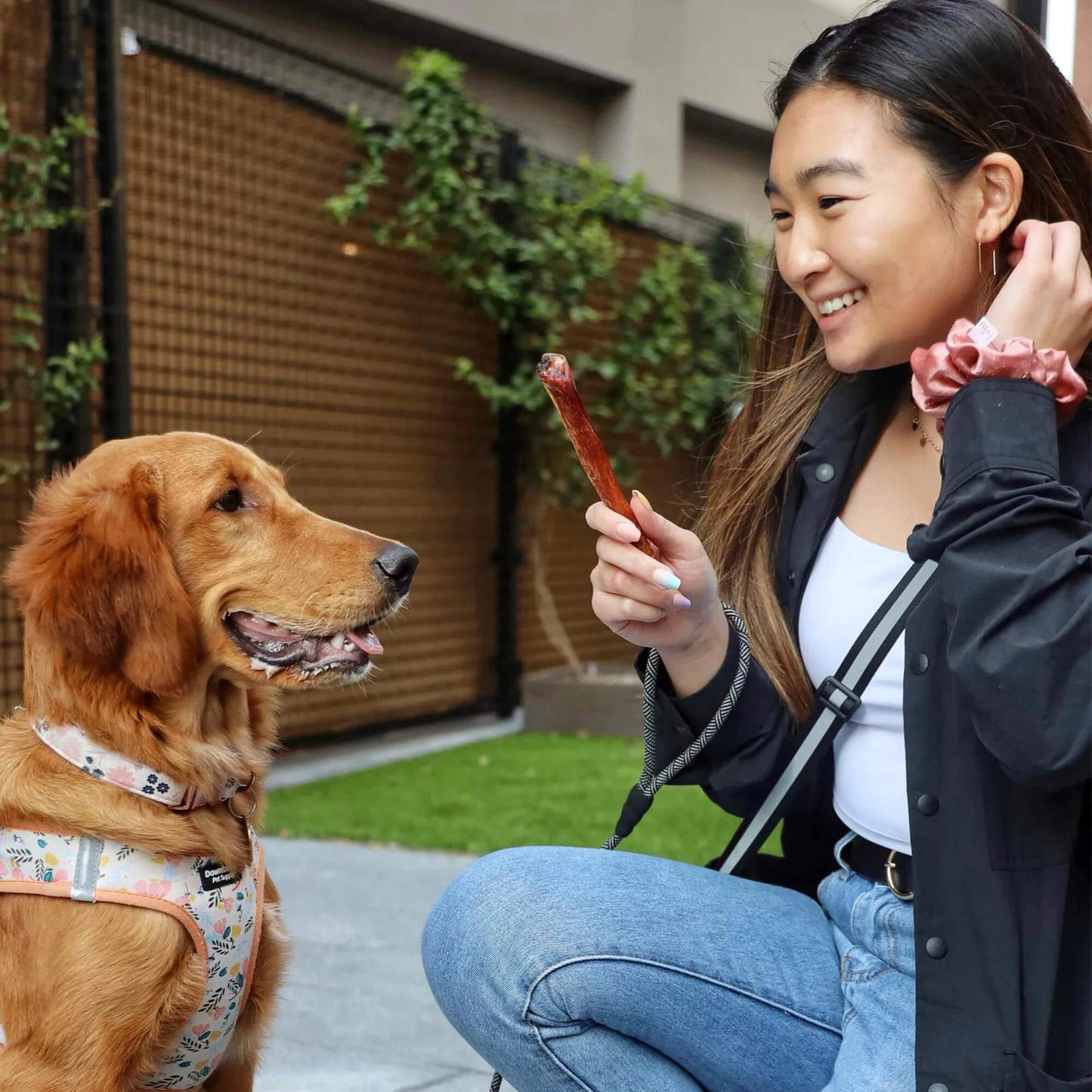 BullyStickSkinngArtboard 5